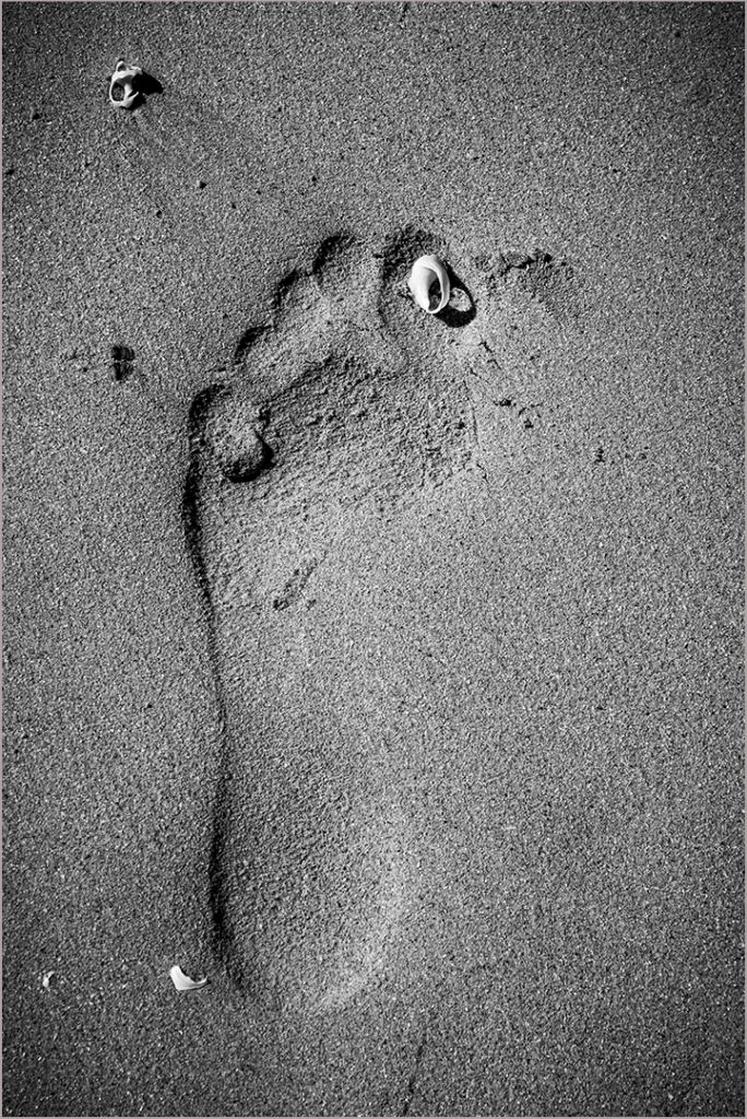 Best Intermediate Image of the Month